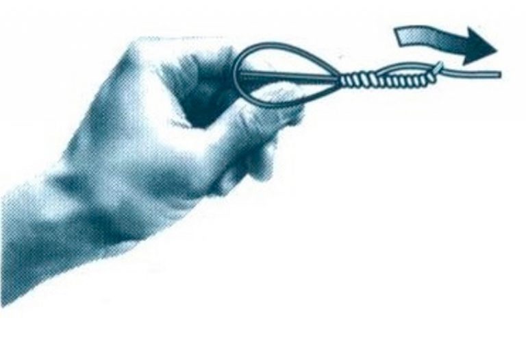 Demonstration image of how to tie and egg loop knot lure.