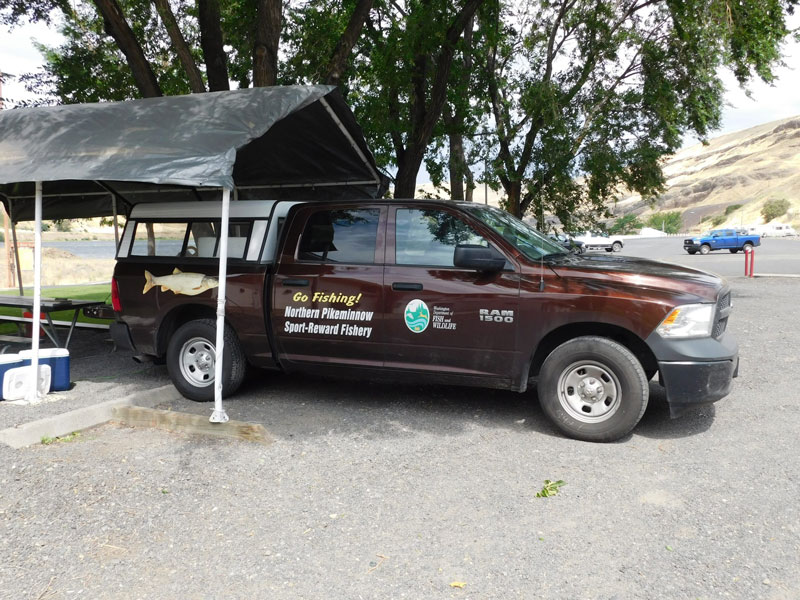 Image of Northern Pikeminnow Sport-Reward Program van at Boyer Park.
