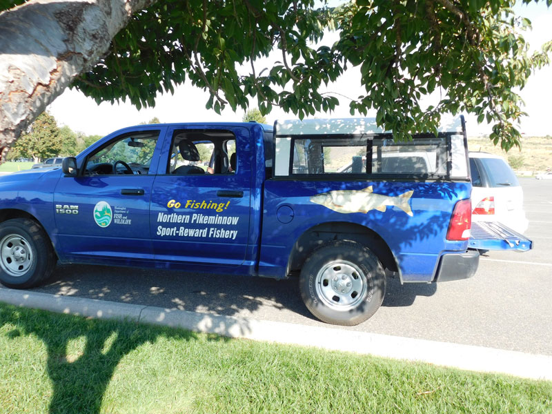 Image of Northern Pikeminnow Sport-Reward Program van at Columbia Park Point.