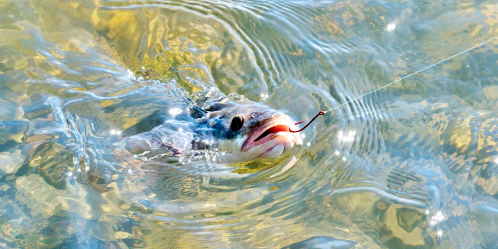 Read more about the article NPMP Website Chatbot Launch