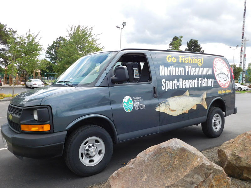 Image of Northern Pikeminnow Sport-Reward Program Van at Kalama Marina, Washington.