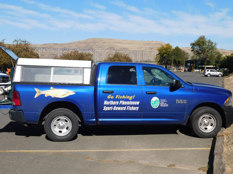Image of Northern Pikeminnow Sport-Reward Program van at Lyons Ferry.