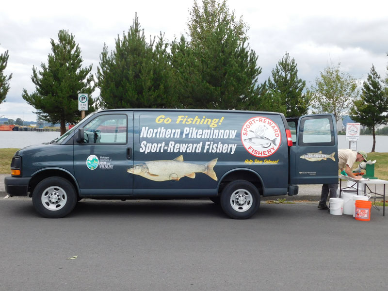 Image of Northern Pikeminnow Sport Reward Program Rainier Marina Van.