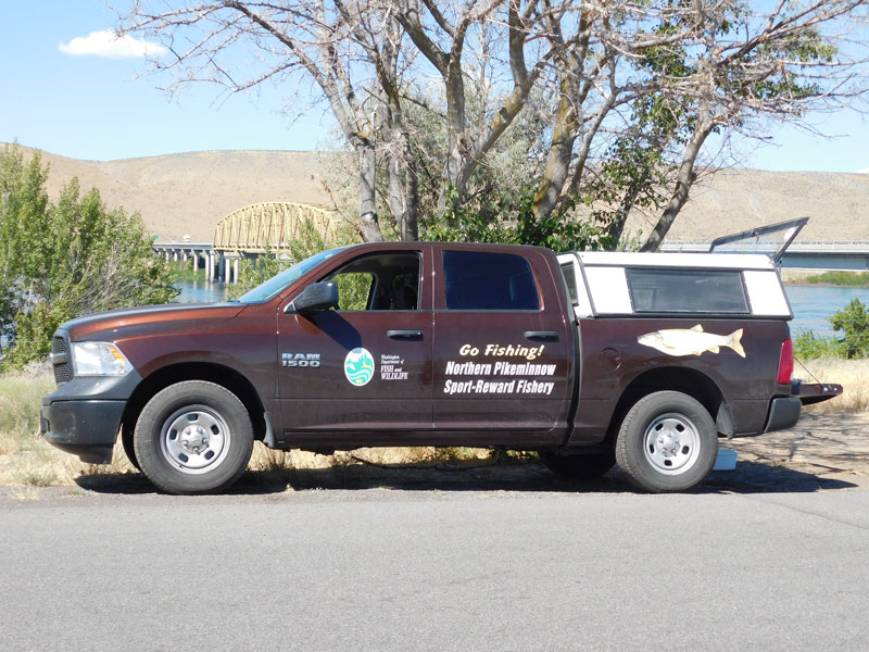 Image of Northern Pikeminnow Sport-Reward Program van at the Vernita Bridge Rest Area.