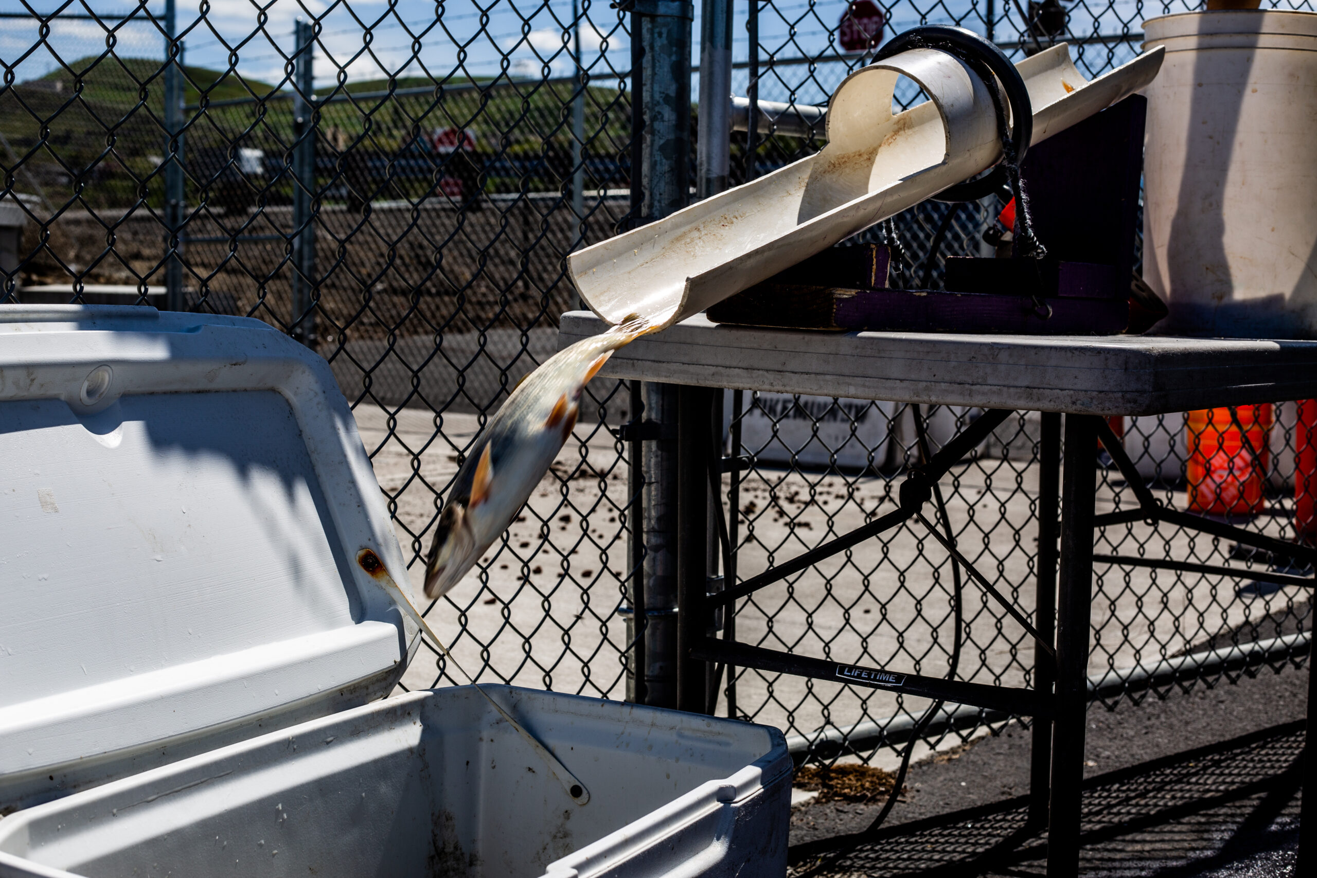 Read more about the article October 6-12, 2025 Recap