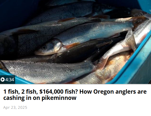 Read more about the article The Great Outdoors TV Clip