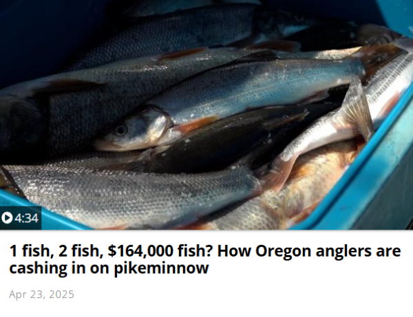 The Great Outdoors TV Clip thumbnail photo